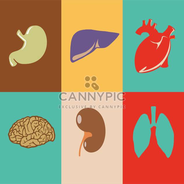 colorful vector illustration of human organs in squares - Kostenloses vector #125934