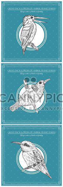 chaffinch bird illustration for great encyclopedia of animals - vector #135154 gratis