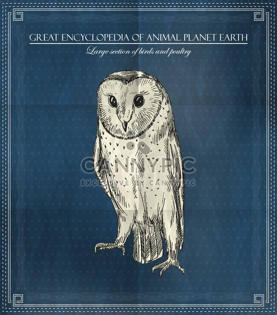 Vector owl from Great Encyclopedia of Animal Planet Earth - vector #135314 gratis